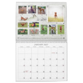 Calendrier des journaux de VIZSLA (Jan 2027)