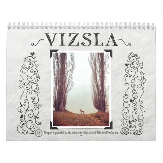 Calendrier des journaux de VIZSLA (Protection)