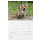 Calendrier des kits Red Fox (Feb 2027)