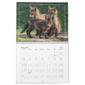 Calendrier des kits Red Fox (Jan 2027)