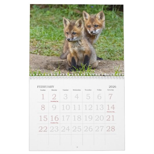 Calendrier des kits Red Fox (Feb 2026)