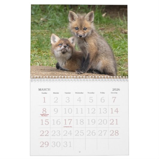 Calendrier des kits Red Fox (Mar 2026)