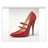 Calendrier des lances 2009 (Protection)