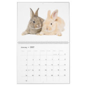 Calendrier des lapins adorables (Jan 2027)