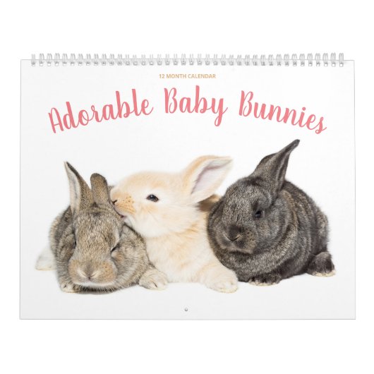Calendrier des lapins adorables (Protection)