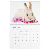 Calendrier des lapins adorables (Feb 2027)