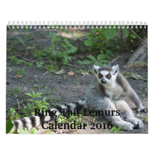 Calendrier des lémurs 2016 de queue d'anneau