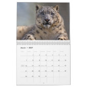 Calendrier des léopards (Mar 2027)