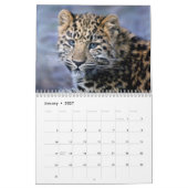 Calendrier des léopards (Jan 2027)