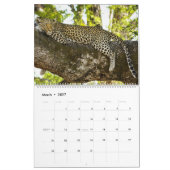 Calendrier des léopards (Mar 2027)