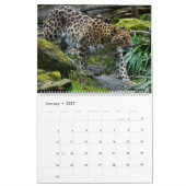 Calendrier des léopards (Jan 2027)