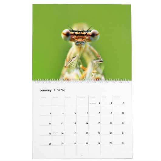 Calendrier des libellules (Jan 2026)