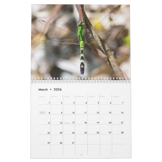 Calendrier des libellules (Mar 2026)