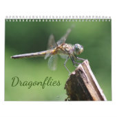 Calendrier des libellules (Protection)