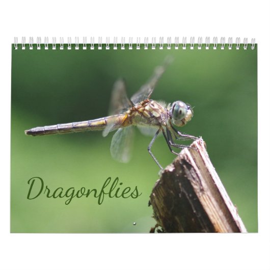 Calendrier des libellules (Protection)