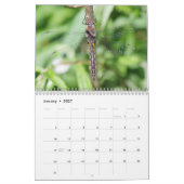 Calendrier des libellules (Jan 2027)