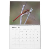 Calendrier des libellules (Feb 2027)