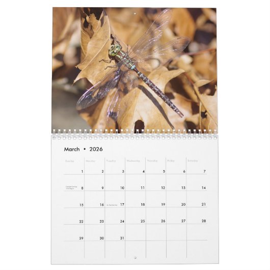 Calendrier des libellules (Mar 2026)