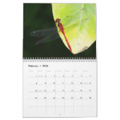 Calendrier des libellules (Feb 2026)
