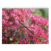 Calendrier des libellules (Protection)