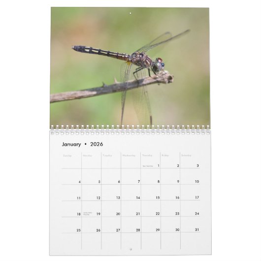 Calendrier des libellules (Jan 2026)