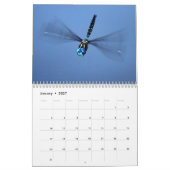Calendrier des libellules (Jan 2027)