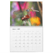Calendrier des libellules (Mar 2027)