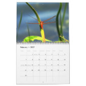 Calendrier des libellules 2023 (Feb 2027)