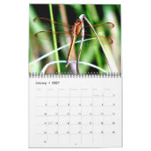 Calendrier des libellules 2023 (Jan 2027)