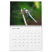 Calendrier des libellules 2023 (Mar 2027)