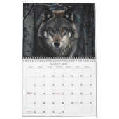 Calendrier des loups 2025 (Mar 2027)