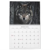 Calendrier des loups 2025 (Mar 2026)