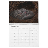 Calendrier des louveteaux 2027 (Jan 2027)