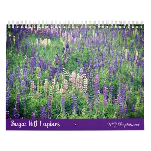 Calendrier des lupines de Sugar Hill (Protection)