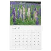 Calendrier des lupines de Sugar Hill (Jan 2027)