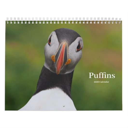 Calendrier des Macareux (Protection)