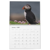 Calendrier des Macareux (Jan 2027)