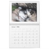 Calendrier des Malamutes de l'Alaska pour la danse (Jan 2026)