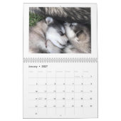 Calendrier des Malamutes de l'Alaska pour la danse (Jan 2027)