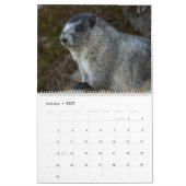 Calendrier des marmottes 2025 (Jan 2027)
