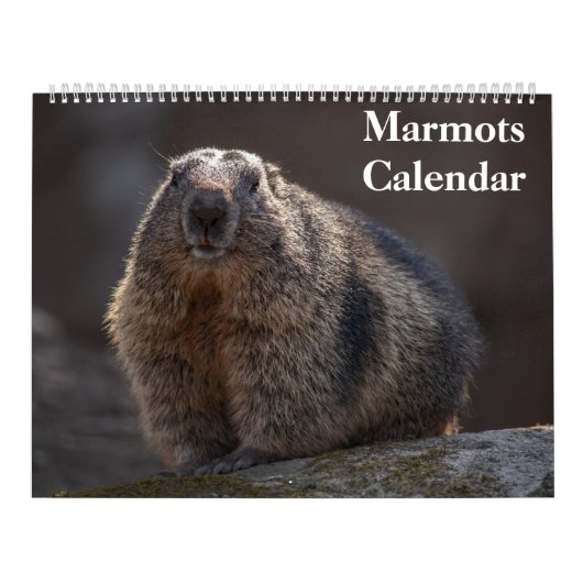 Calendrier des marmottes 2025 (Protection)