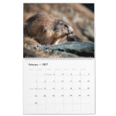 Calendrier des marmottes 2025 (Feb 2027)
