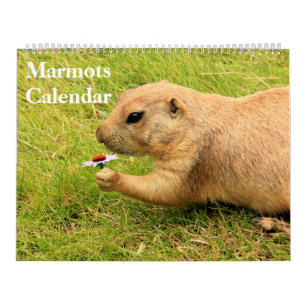 Calendrier des marmottes 2025