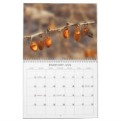 Calendrier des mauvaises herbes, semences et baies (Feb 2026)