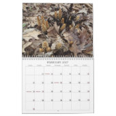 Calendrier des mauvaises herbes, semences et baies (Feb 2027)