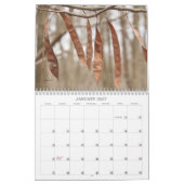 Calendrier des mauvaises herbes, semences et baies (Jan 2027)