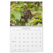 Calendrier des mauvaises herbes, semences et baies (Mar 2027)
