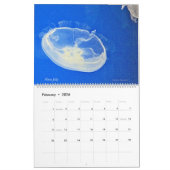 Calendrier des méduses 2023 (Feb 2026)