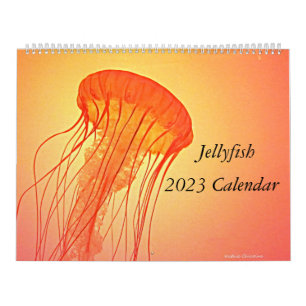 Calendrier des méduses 2023