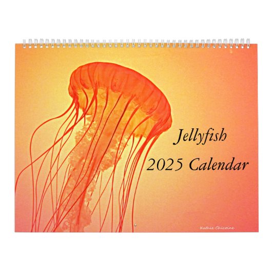 Calendrier des méduses 2025 (Protection)
